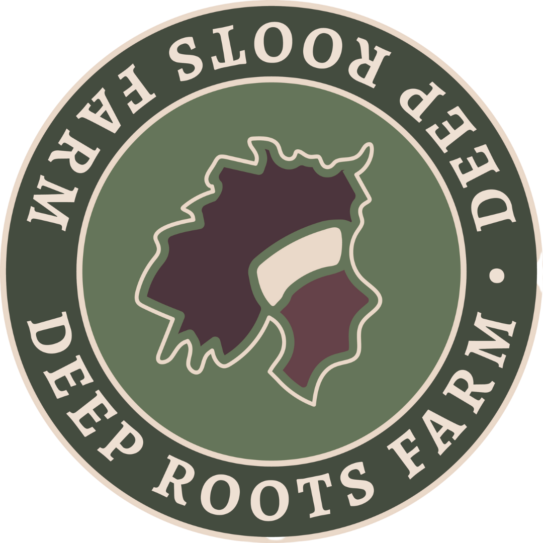 Deep Roots Farm Csa Year Round Farm Boxes